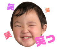 84385658