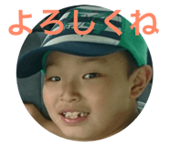 84385667