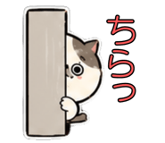 843857104