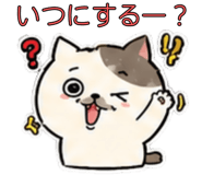843857116