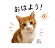 843857953