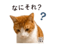 843857974