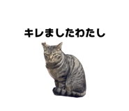 843858366