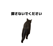 843858382