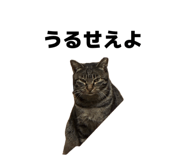 843858383