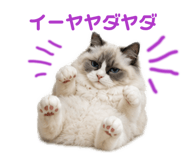843859129