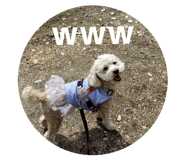 843859781