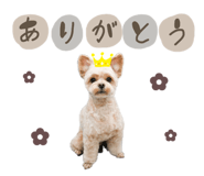 843860071