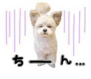843860091