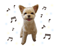 843860095