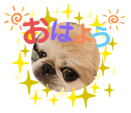 843860173