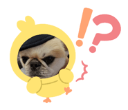 843860176