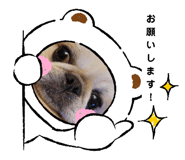 843860178