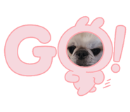 843860191
