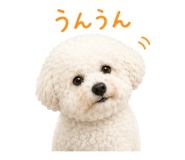843860766