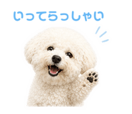 843860770