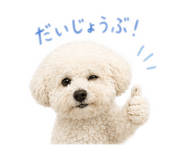 843860777