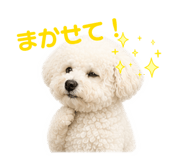 843860779