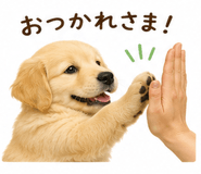 843860975
