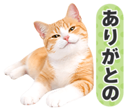 843861615