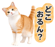 843861635