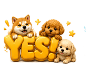 843868606