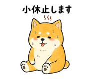 843868857