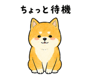 843868863