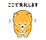843868871