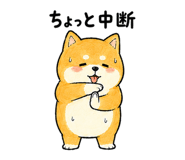 843868881