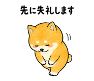 843868884