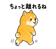 843868888