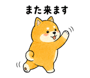 843868895