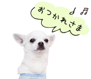 843869059