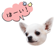 843869064