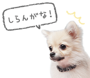 843869129