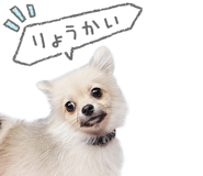 843869132