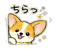843869229