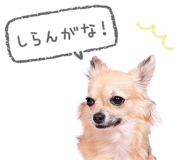 843869289