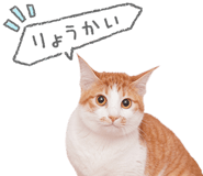 843869420