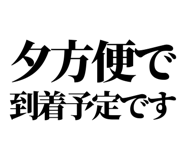 843869538