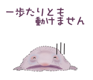 843869670