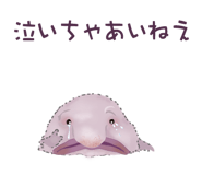 843869675