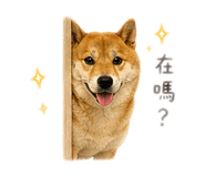 843871434