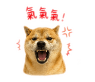843871442