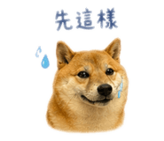 843871458