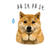 843871469