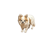 843871715