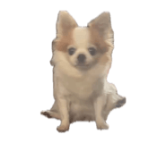 843871718
