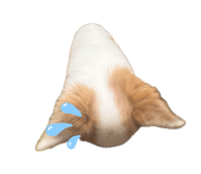 843871720